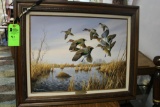 Mark Anderson Original - Green Wing Teal