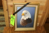 Mark Anderson Original - American Bald Eagle