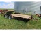 2003 8x18 Ft. Car Trailer w/Ramps & 2 Ft. Beavertail