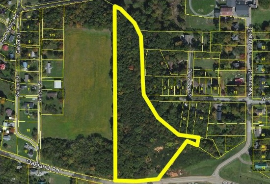 [Bid Lot #116] (10.2±acres) Oakland Rd (Commercial Tract)