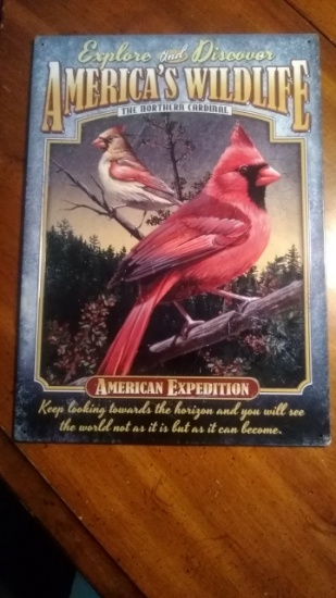 Vintage Look American Expedition Sign