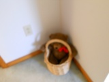 Vintage Basket with Teddy Bear