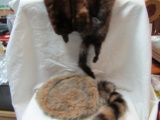 Lot of 2 Vintage Mink Schal and Raccoon Hat