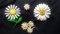 Lot of 4 DAISY DELIGHT Pin and Brooches