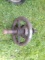 Steel Control Wheel On Shaft