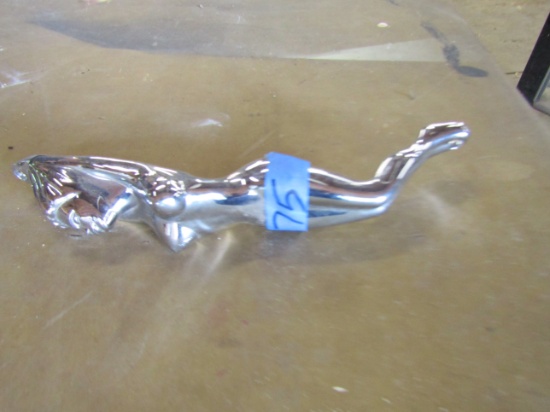 Auto/Truck, Chrome Girl Trim/Grab Bar
