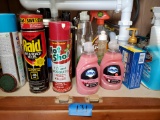 Cabinet Contents, Cleaning Supplies, Sliders