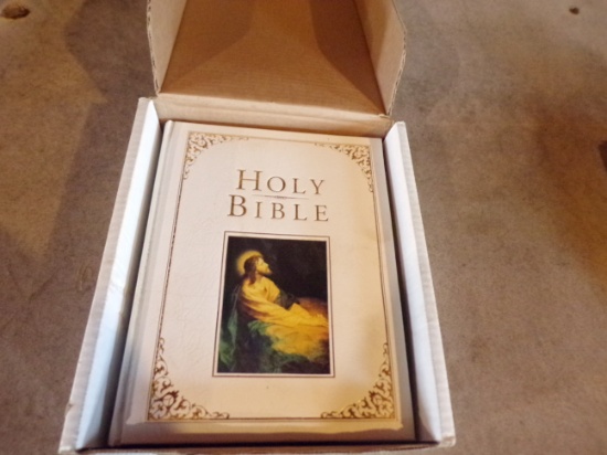 HOLY BIBLE copyright 2001 NEW