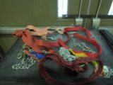 Lot of Dog Collars, Leashes