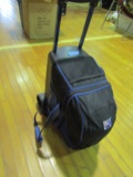 4 Bowling Balls with Rolling Carrier/Case