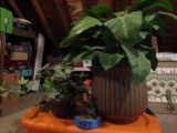 2 Artificial Plants in  Wood and Tin Planters