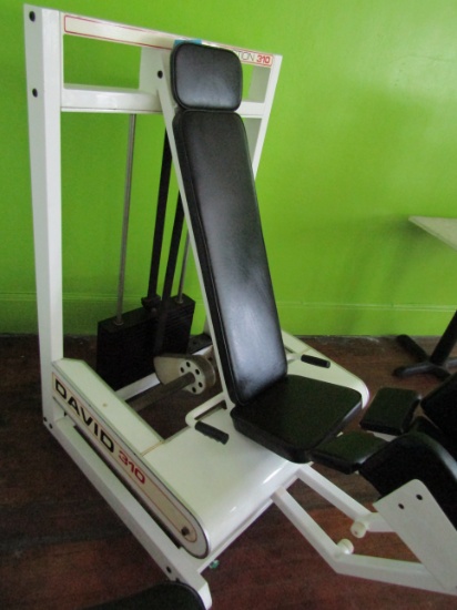 Seated Abduction Exercise Machine, David 310