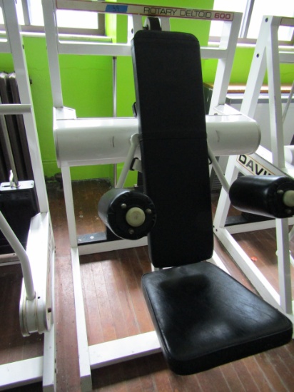 Seated Rotary Deltoid Exercise Machine, David 600