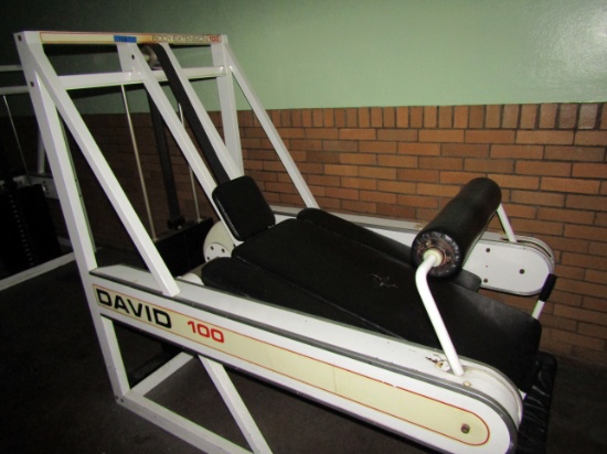 Glute and Hamstring Body Extension Exercise Machine, David 100