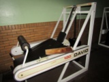 Glute and Hamstring Body Extension Exercise Machine, David 100