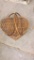 Heart shaped picnic basket
