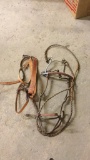 Breast harness & bridle