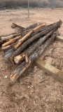 Lot of approx 16 cedar fence post