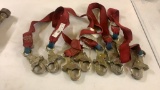 Lot of 4-(4ft) SureStop lanyards