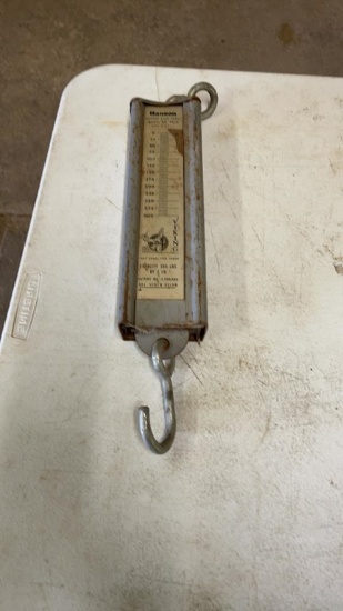 Hanson model # 8930 scales