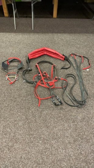 Black & Red pony buggy harness