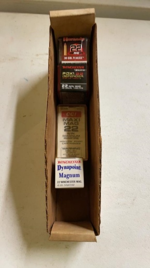 22 MAG ammo