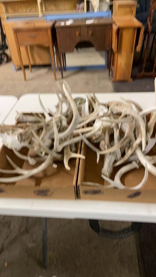 2lots Sheds and Skulls