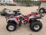 Honda Fourtrax 250