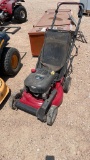 Murray push mower