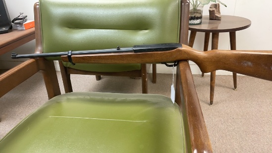 Ruger 10/22 .22  Missing Mag