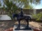 Large Bronze Horse and Jockey  by Rick Jacson