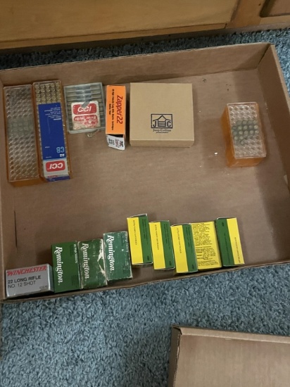 Lot Misc 22 ammo