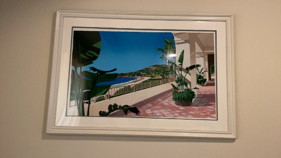 50”x34” framed white picture