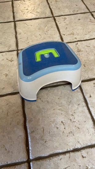 Step w/ handle