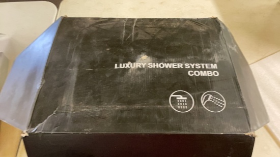 Luxury shower system combo