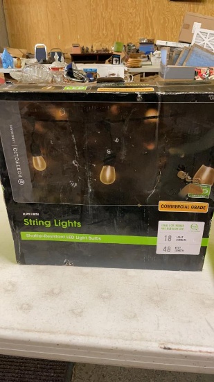 String lights/ black finish