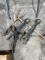 Antique Fireplace irons