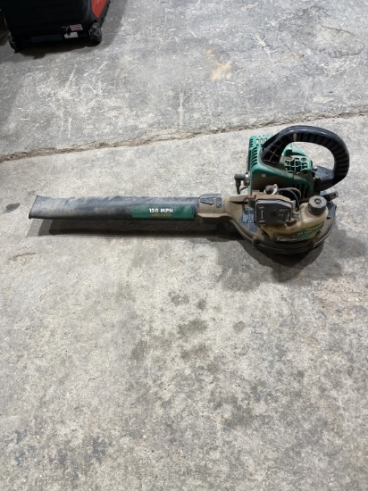 Leaf blower