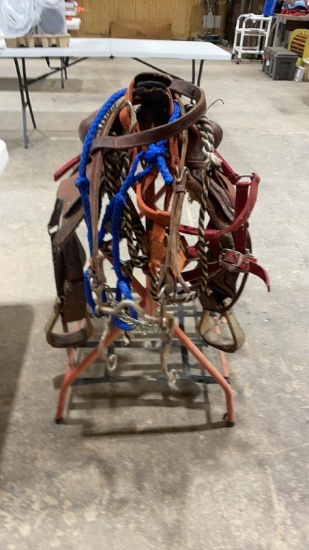 Saddle & halters