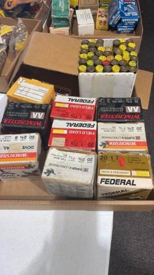 Lot of misc 20ga reloads