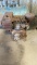Briggs & Stratton pump motor