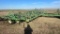 JD 980 32’ Field Cultivator