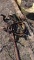 Lot of 5 Spring Shank