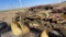 Lot of chisle shanks