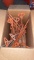 Box of module trap stakes
