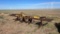 Big Ox Plow