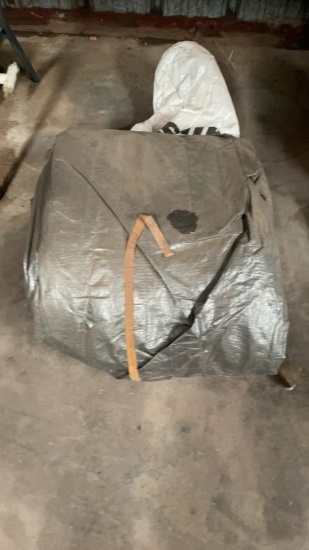 Tarp