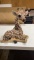 Giraffe statue