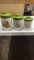 Canister set