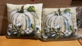 2 new decorative pillows